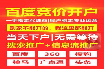 某电商平台的SEM关键词策略及成效分析